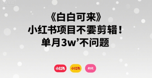 小白可来 小红书项目不需要剪辑 单月3w不是问题-如意资源库