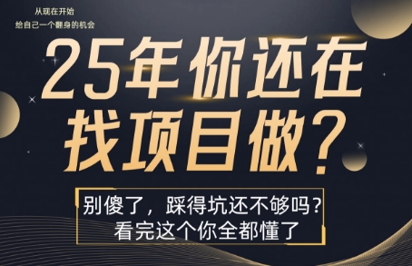 25年，你还在疯狂的找项目吗？别傻了，看完这个你都懂了【揭秘】-如意资源库