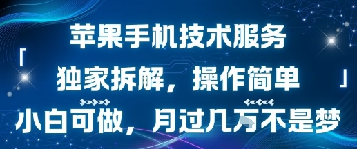 苹果手机技术服务，独家拆解，操作简单，小白可做，月过1W不是梦-如意资源库