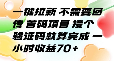 一键拉新 不需要回传 首码项目 接个验证码就算完成 一小时收益70+【揭秘】-如意资源库