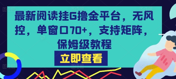 最新阅读挂G撸金平台，无风控，单窗口70+，支持矩阵，保姆级教程【揭秘】-如意资源库