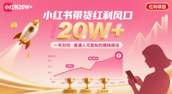 一年时间靠小红书带货项目年入20w+，最不能错的大红利项目-如意资源库