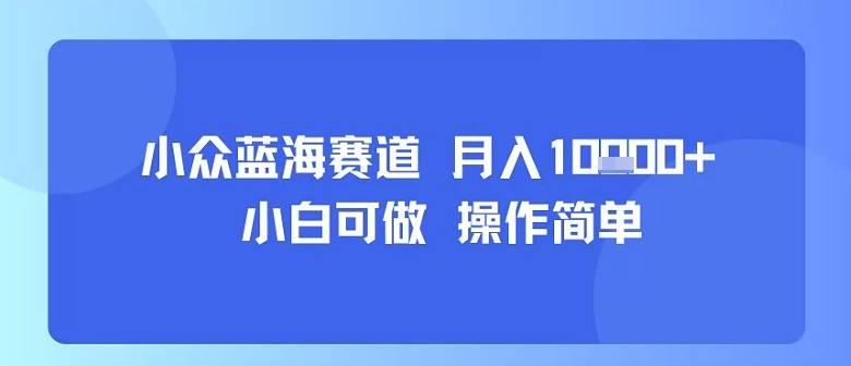 小众蓝海赛道，小白可做，操作简单，每天30分钟，月入1W+-如意资源库