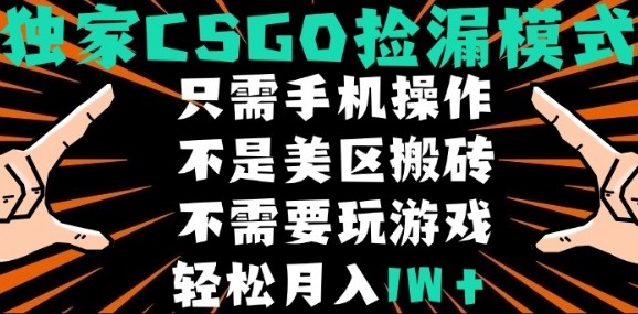 CSGO自动捡漏项目，最新独家玩法，不是美区搬砖，不需要了解和玩游戏，新手小白轻松月入1W+【揭秘】-如意资源库