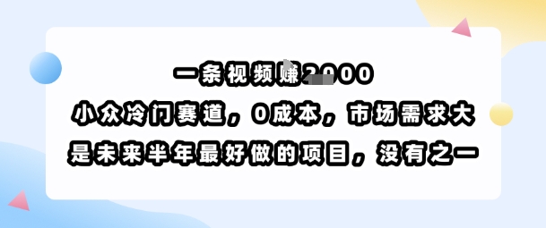 一条视频挣1k，小众冷门赛道，0成本，市场需求大，是未来半年最好做的项目，没有之一-如意资源库