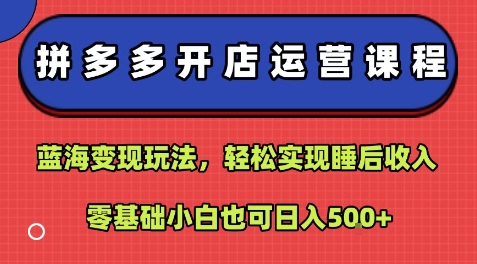 拼多多开店运营课程：蓝海变现玩法，轻松实现睡后收入，零基础小白也可日入5张-如意资源库