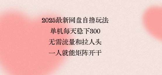 2025最新网盘自撸玩法，单机每天稳下3张，无需流量和拉人头，一个人就可轻松矩阵，全网独一份【揭秘】-如意资源库