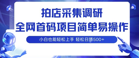 拍店采集调研，全网首码项目，简单易操作， 小白也能轻松上手，多账号操作，轻松日入5张【揭秘】-如意资源库