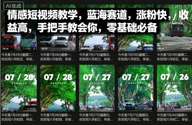 情感短视频教学，蓝海赛道，涨粉快，收益高，手把手教会你，零基础必备-如意资源库