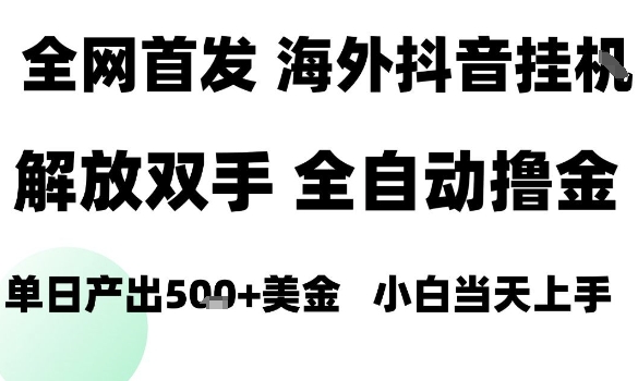 海外抖音无人直播，单日产出1.5k+，长期稳定，新手可玩，无脑操作【揭秘】-如意资源库