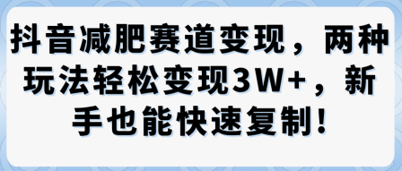 抖音减肥赛道变现，两种玩法轻松变现3W+，新手也能快速复制-如意资源库