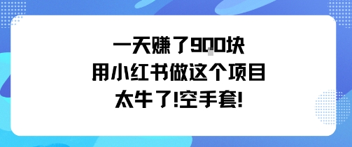 一天挣了9张用小红书做这个项目太牛了，空手套-如意资源库