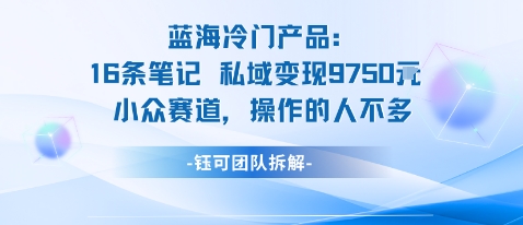 蓝海项目：16条笔记私域变现9750米小众赛道操作的人不多-如意资源库