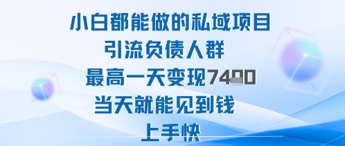 2025年小白都能做的私域项目引流负债人群最高一天变现1k+高变现难度低当天就能见到钱上手快-如意资源库