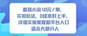 番茄小说10米每单，实拍玩法，0成本好上手，详细实操教程和平台入口适合大部分人-如意资源库