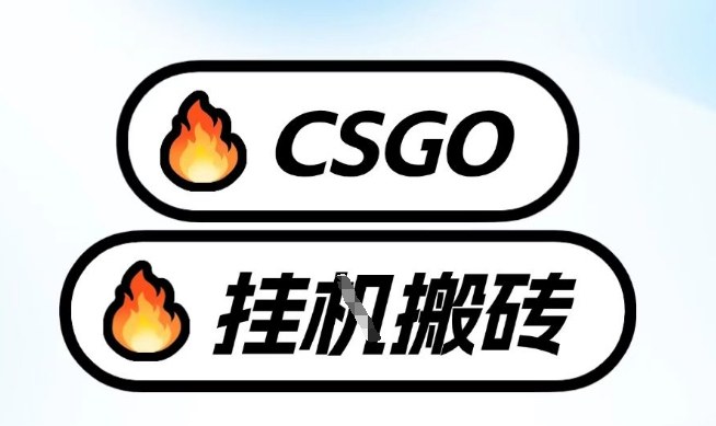 真全网独家CSGO挂G，最新玩法,单日捡漏1K+，不用电脑，不用打游戏【揭秘】-如意资源库