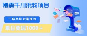 刚需千川涨粉项目，一部手机无需技术，单日变现1k+，当天做当天见收益【揭秘】-如意资源库