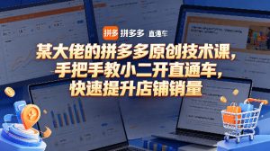 某大佬的拼多多原创技术课，手把手教小二开直通车，快速提升店铺销量-如意资源库