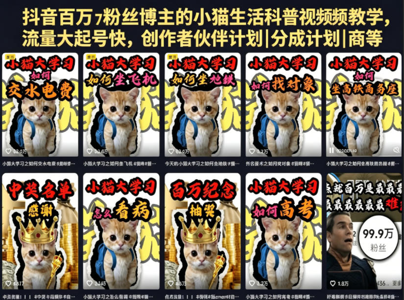 抖音百万粉丝博主的小猫生活科普视频教学，流量大起号快，创作者伙伴计划|分成计划|商单|收徒等-如意资源库