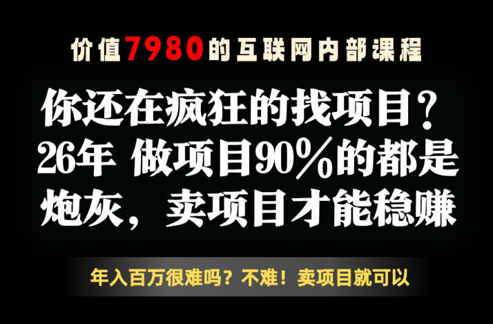 26年请不要疯狂的找项目了，卖项目远比你想象的暴利，你也可以月入10W+【揭秘】-如意资源库
