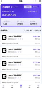 海外TikTok剪映cupcut拉新，市场广阔，潜力巨大，月入1w+，适合TK创作者的新机会-如意资源库