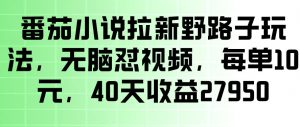 番茄小说拉新野路子玩法，无脑怼视频，玩法简单、见效快，每单10米，40天收益27950-如意资源库
