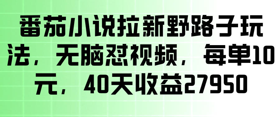 番茄小说拉新野路子玩法，无脑怼视频，玩法简单、见效快，每单10米，40天收益27950-如意资源库
