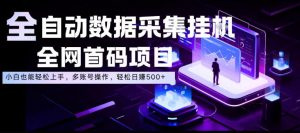 全自动数据采集挂G，全网首码项目，简单易操作，小白也能轻松上手，多账号操作，轻松日入500+【揭秘】-如意资源库