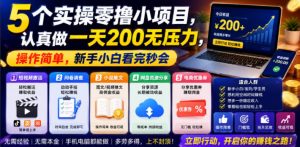 5个实操零撸小项目，认真做一天200无压力，操作简单，新手小白看完秒会【揭秘】-如意资源库