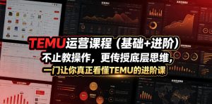 TEMU运营课程（基础+进阶），不止教操作，更传授底层思维，一门让你真正看懂TEMU的进阶课-如意资源库