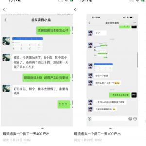 薅流虚拟2.0陪跑课，0成本AI流程化操作，淘宝+闲鱼同步玩法，上一次货两个平台有收益，单店每天200纯利润-如意资源库
