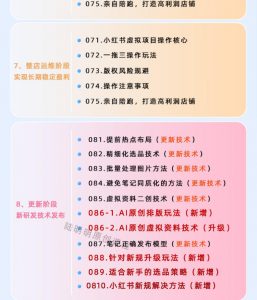 小红书虚拟项目特训班9.0，AI原创PPT技术全跑通，单品单店月纯利润几个W-如意资源库