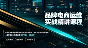 品牌电商运维实战精讲课程｜吃透电商品牌落地逻辑、穿越行业周期、搭建长效变现运营体系-如意资源库