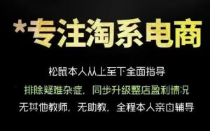 松鼠会电商VIP课程，从基础布局到高阶优化，助你掌握淘宝运营逻辑，提升店铺流量与转化（更新0823）-如意资源库