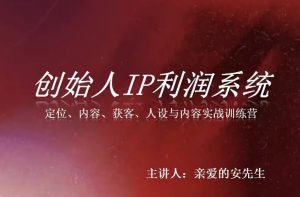 创始人IP利润系统8月训练营,定位、内容、获客、人设与内容实战训练营-如意资源库