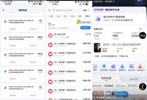 外面卖299的爆款二创配音情感语录教学，一个作品20分钟左右，伙伴计划+剪映拉新+收徒等多种收益-如意资源库
