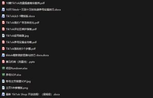 TikTok从0-1实操资料包：养号SOP+爆款公式+投流手册，新手30天可起号变现，抓住TikTok流量红利-如意资源库