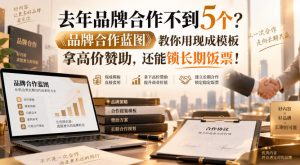 去年品牌合作不到5个？《品牌合作蓝图》教你用现成模板拿高价赞助，还能锁长期饭票！【原创双语字幕】-如意资源库