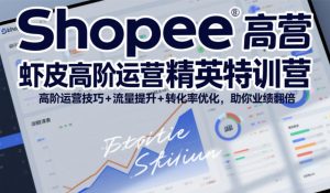 Shopee虾皮高阶运营精英特训营，高阶运营技巧+流量提升+转化率优化，助你业绩翻倍（更新26年9月）-如意资源库