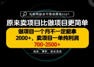一单利润700-2.5K+，为什么我们要卖项目而不是做项目，我们普通人应该怎样开始？【揭秘】-如意资源库