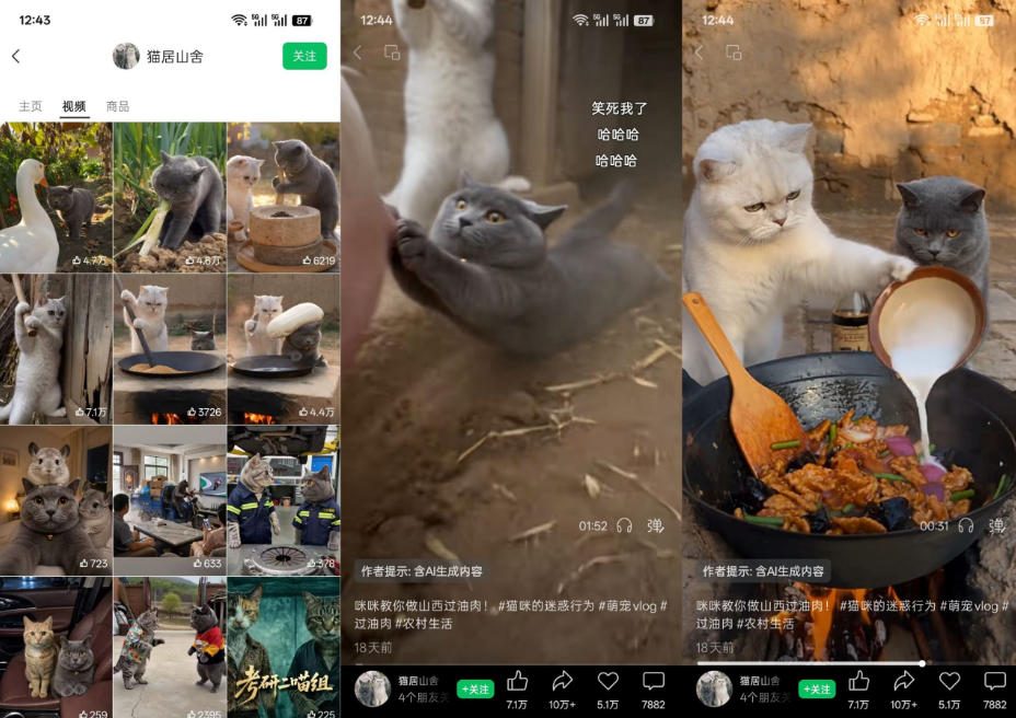 猫咪慢生活短视频教学，AI搞笑萌宠赛道，视频号分成+精选独家+伙伴计划+商单收徒等多种变现方式-如意资源库