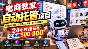电商独家自动托管项目，24小时挂G，2小时500-800，附全套工具【揭秘】-如意资源库