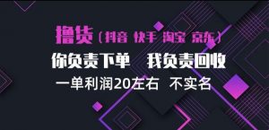 抖音淘宝快手买手项目，一单利润20左右，单号每天下三单，可矩阵【揭秘】-如意资源库