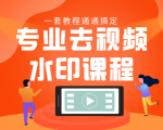 专业去视频水印教程 静态水印、动态水印、文字水印、图片水印一套教程通通搞定-如意资源库