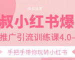 狼叔小红书爆款推广引流训练课4.0,手把手带你玩转小红书-如意资源库