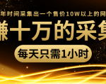 年赚十万的采集站，每天却只需要1小时，一年时间采集出一个售价10W以上的网站-如意资源库