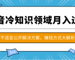 抖音冷知识领域月入过万项目,不适宜公开解决方案 ,抖音赚钱方式大解析!-如意资源库