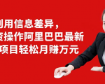 利用信息差异，零投资操作阿里巴巴最新管道项目轻松月赚10000+-如意资源库