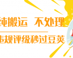 抖音纯搬运 不处理 小技巧,30秒发一个作品,避免违规评级秒过豆荚-如意资源库