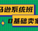 亚马逊系统班，专为0基础卖家量身打造，亚马逊运营流程与架构-如意资源库